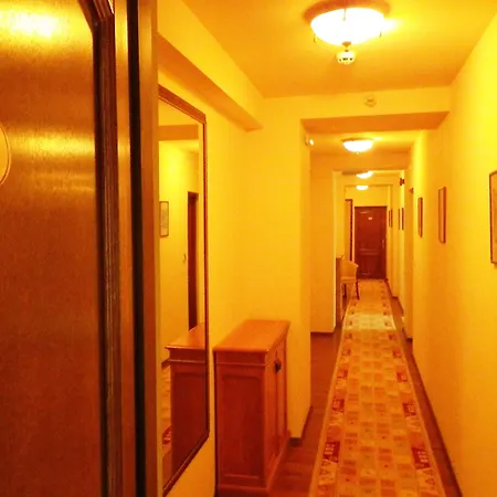 미켈란젤로 부쿠레슈티