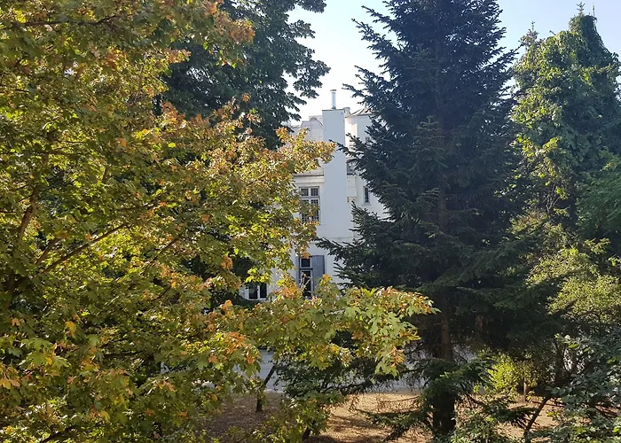 米开朗基罗酒店 3*