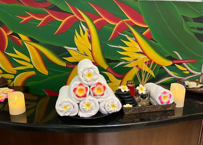 酒店 米开朗基罗酒店 3*