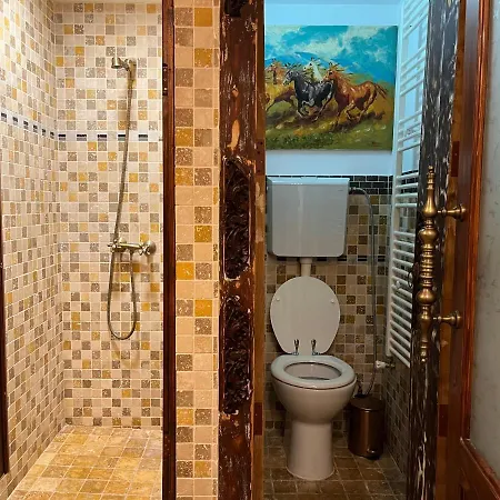 Hotel Michelangelo 3*