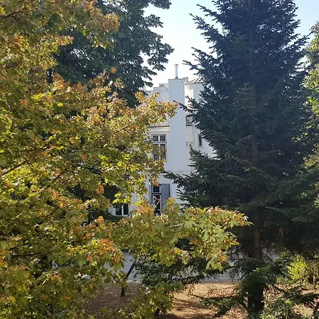 Michelangelo Bükreş