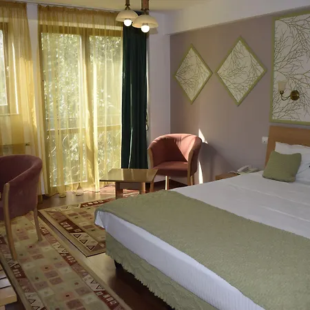 Hotel Michelangelo 3*